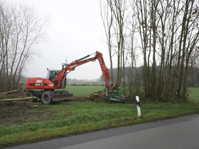 Bagger mit Baumschere für Heckenpflege