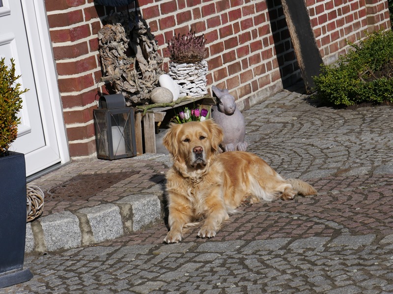Fine genießt die Frühlingssonne