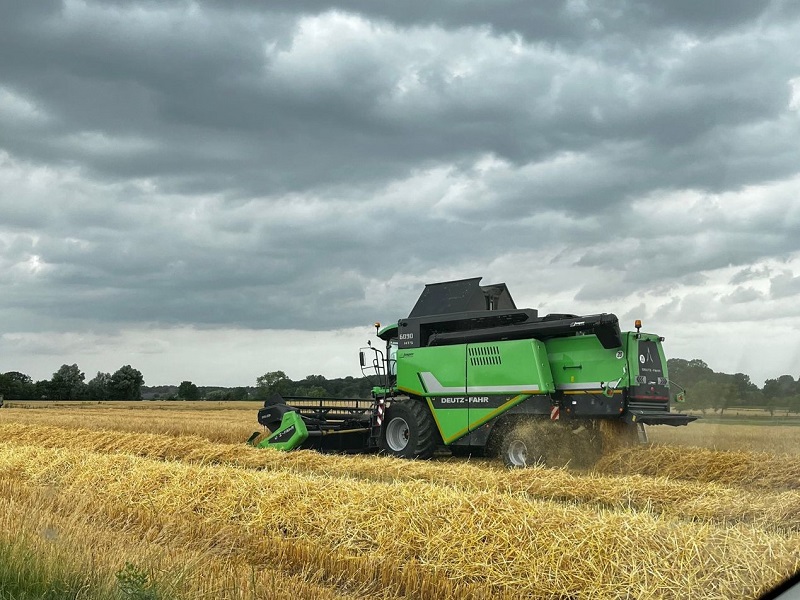Getreideernte startet im Münsterland