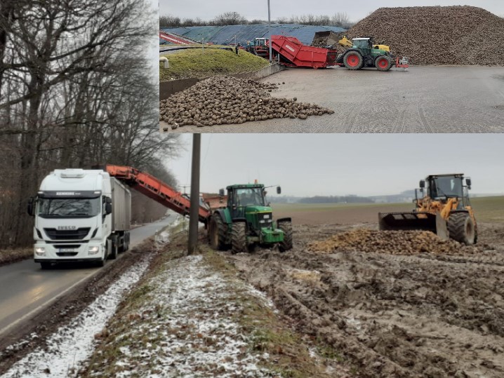 Biogasrüben-Kampagne abgeschlossen!